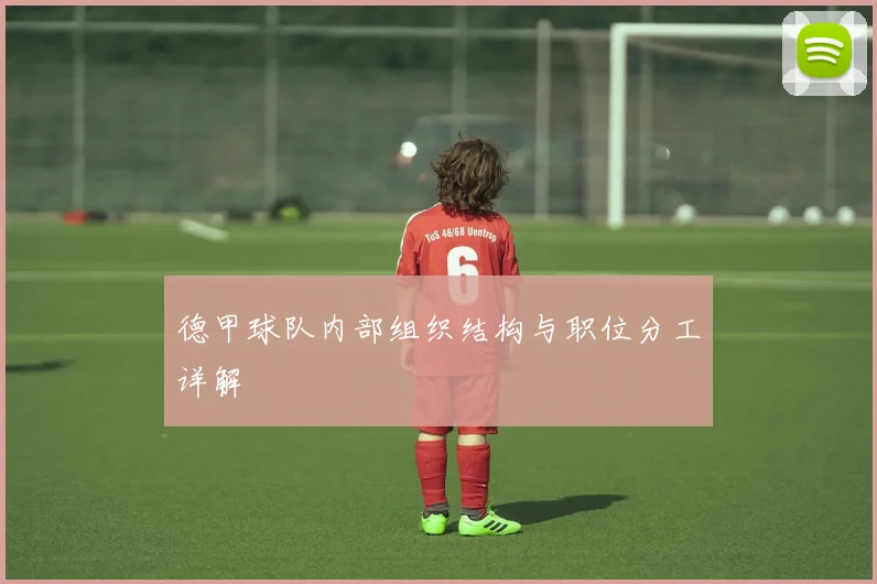 德甲球队内部组织结构与职位分工详解