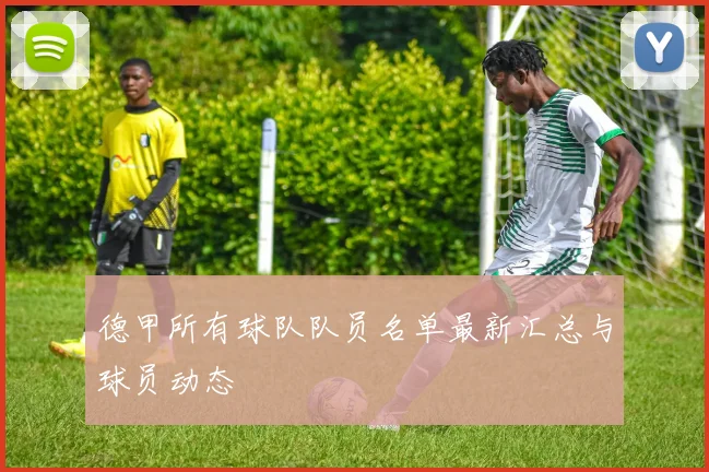 德甲所有球队队员名单最新汇总与球员动态